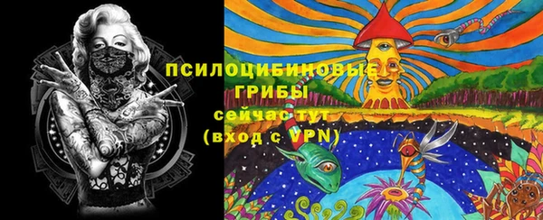 хмурый Алапаевск