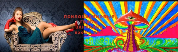 ECSTASY Баксан